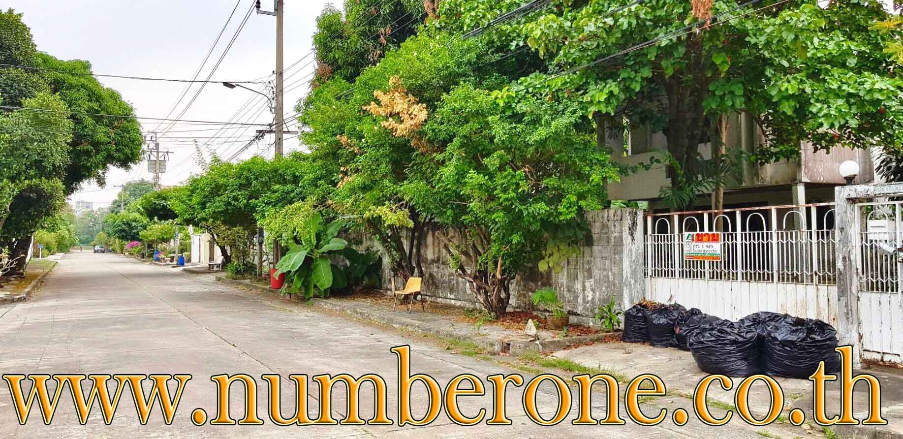 ม.เมืองทอง 2/1 ซ.บางปลาสร้อย 5 ถ.พัฒนาการ 74 