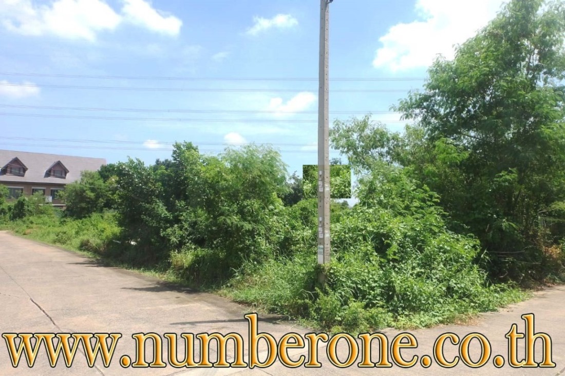 ม.บ้านอริสราเพลส 1 ซ.ลำโพ ถ.โยธาธิการนนทบุรี 2029